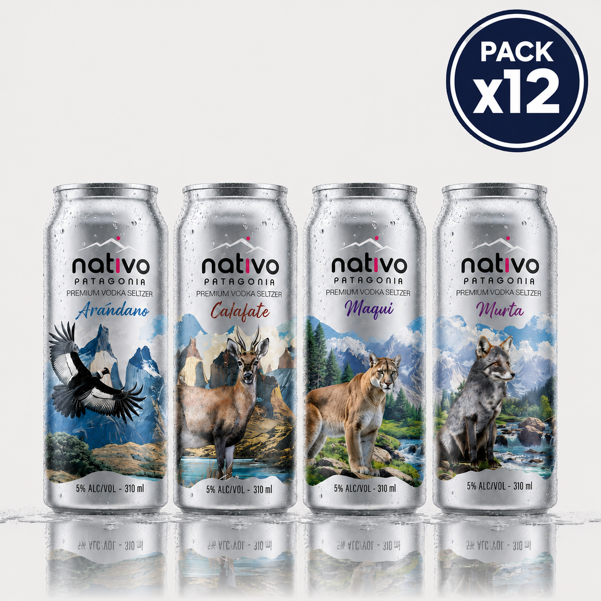 Caja Mix Vodka Seltzer 12 x 310 ml