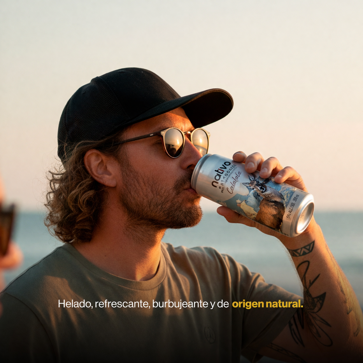 Calafate Vodka Seltzer 12 x 310 ml